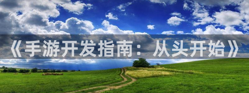 庄闲的游戏：《手游开发指南：从头开始》