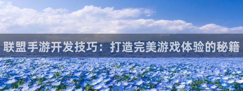 庄闲是什么玩法,澳门：联盟手游开发技巧：打造完美游戏体验的秘