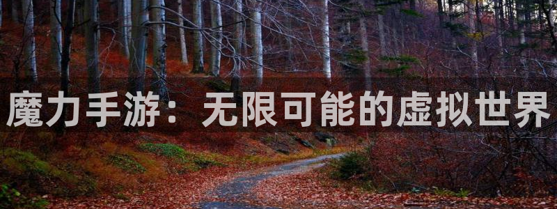 庄闲输赢比例：魔力手游：无限可能的虚拟世界