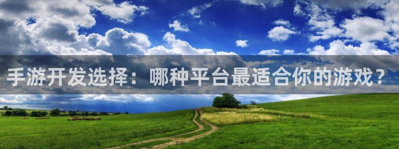 如何玩庄闲：手游开发选择：哪种平台最适合你的游戏？