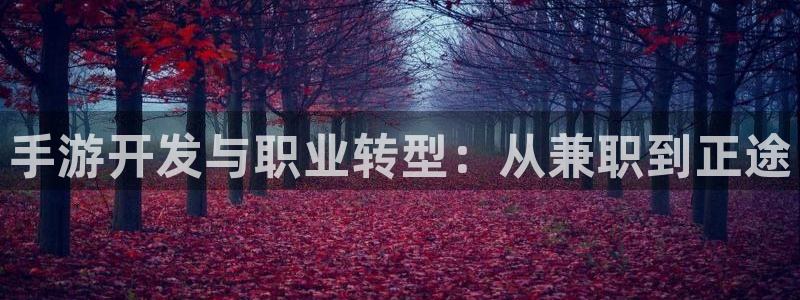 庄闲和规则图：手游开发与职业转型：从兼职到正途
