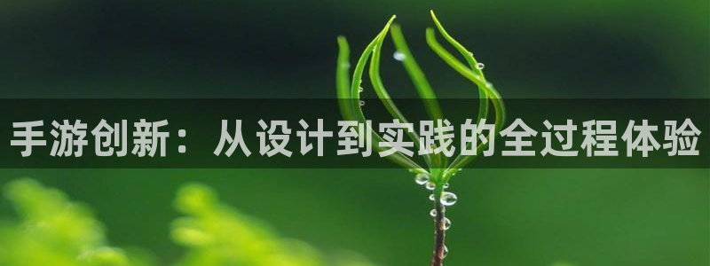 庄闲玩法澳门：手游创新：从设计到实践的全过程体验