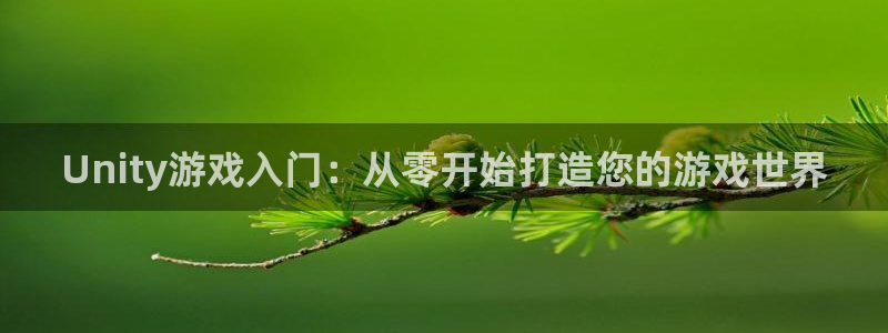 庄闲和游戏有限公司：Unity游戏入门：从零开始打造您的游戏