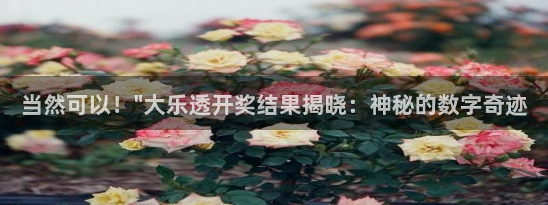 51视频在线直播nba：当然可以！\