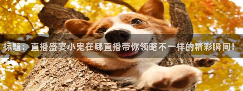 51视频在线直播nba