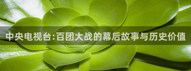 51视频在线直播nba：中央电视台:百团大战的幕后故事与历史价值