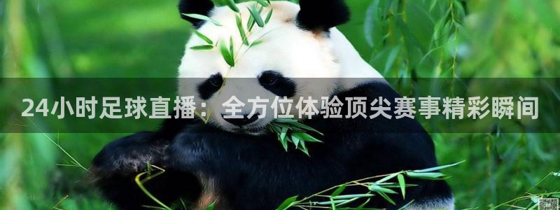 51视频在线直播nba：24小时足球直播：全方位体验顶尖赛事精彩瞬间