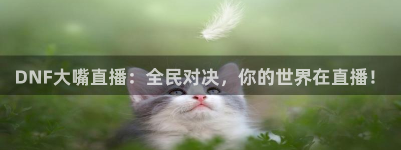 51视频在线直播nba：DNF大嘴直播：全民对决，你的世界在直播！