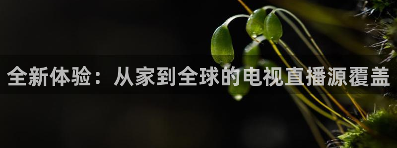 51视频在线直播nba：全新体验：从家到全球的电视直播源覆盖